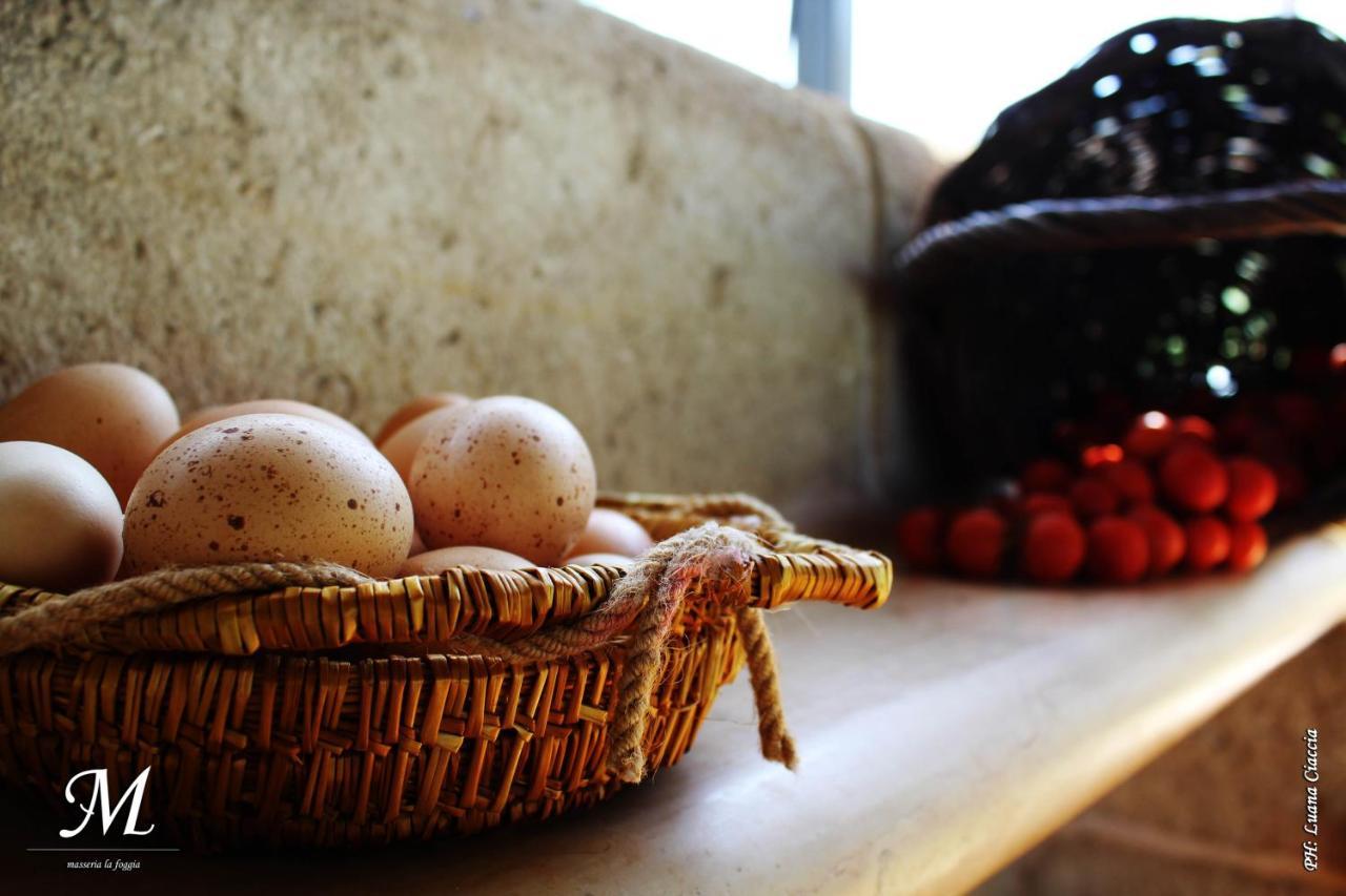 Masseria La Foggia ฟาซาโน ภายนอก รูปภาพ