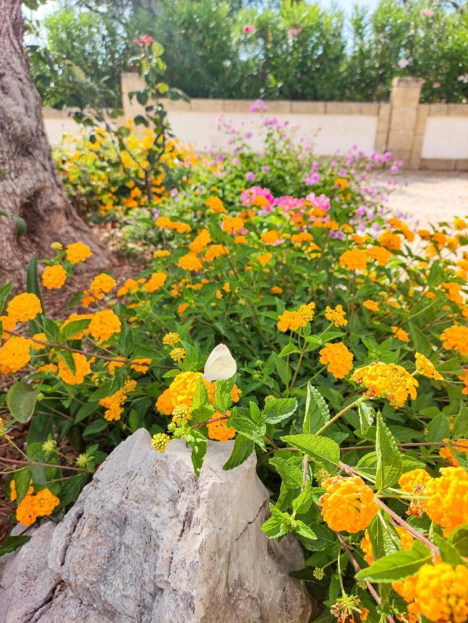 Masseria La Foggia ฟาซาโน ภายนอก รูปภาพ